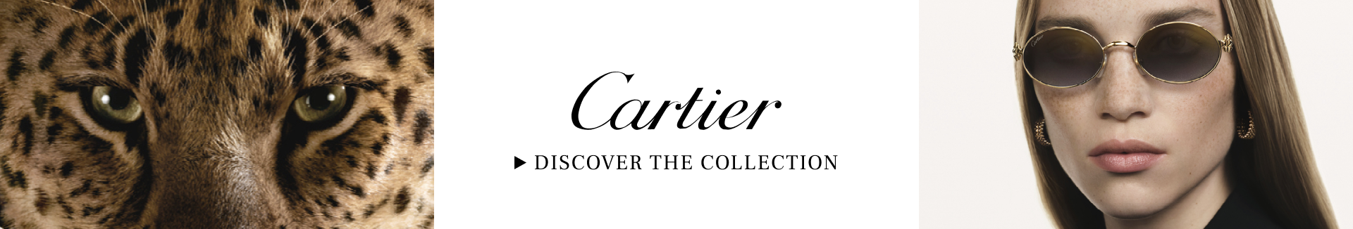 Cartier Brand banner image