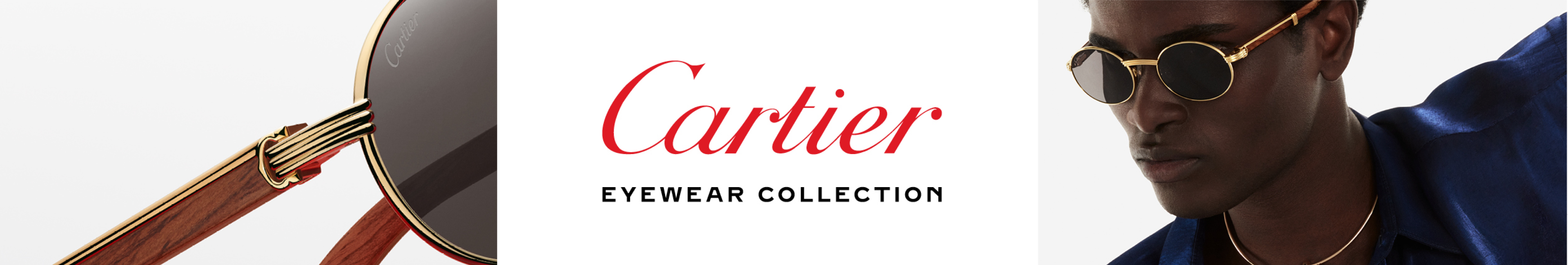 Cartier Collection Banner Image