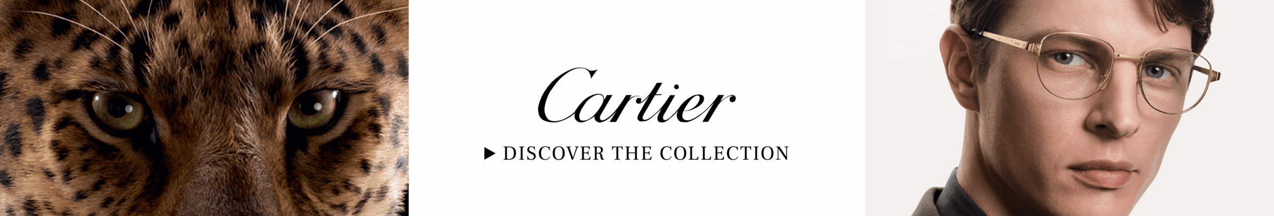 cartier-brand-main-banner-image-min